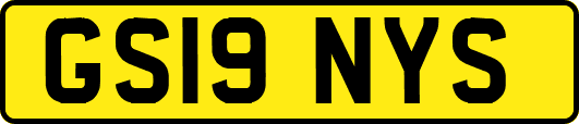 GS19NYS