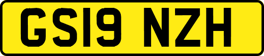 GS19NZH