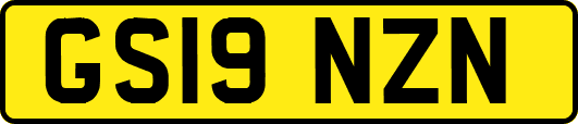 GS19NZN