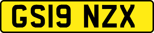GS19NZX