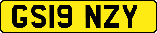 GS19NZY