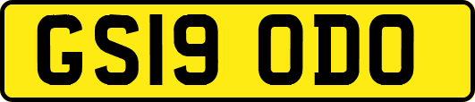 GS19ODO