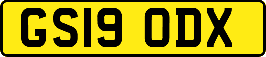 GS19ODX