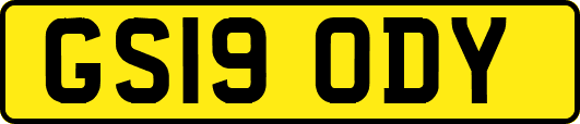 GS19ODY