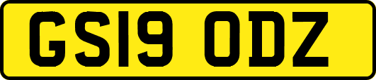GS19ODZ