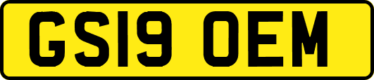 GS19OEM