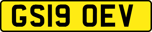 GS19OEV