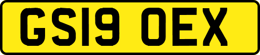 GS19OEX