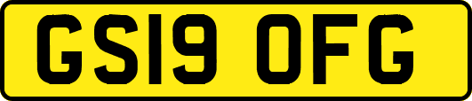 GS19OFG