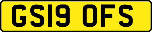 GS19OFS