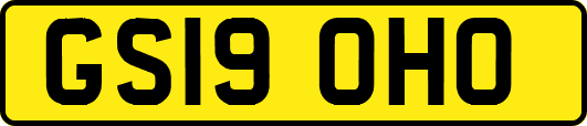 GS19OHO