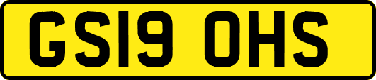GS19OHS