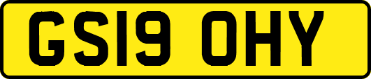 GS19OHY