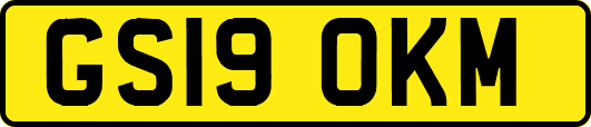 GS19OKM