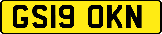 GS19OKN