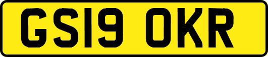 GS19OKR