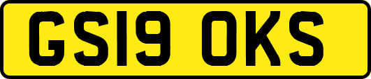 GS19OKS