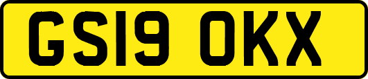 GS19OKX