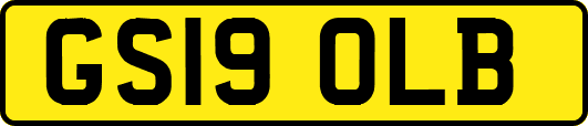 GS19OLB
