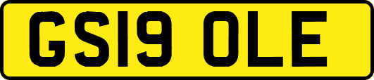 GS19OLE
