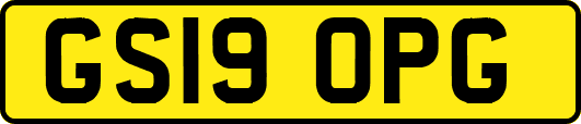 GS19OPG