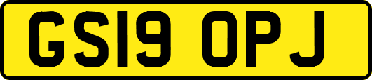 GS19OPJ