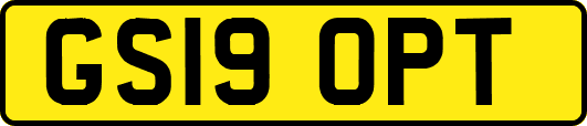GS19OPT