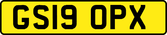 GS19OPX