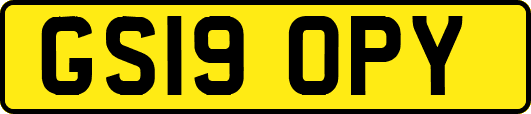 GS19OPY