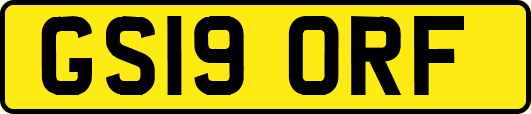 GS19ORF