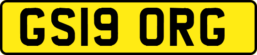 GS19ORG