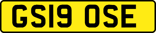 GS19OSE