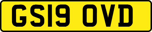 GS19OVD