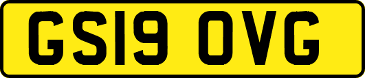 GS19OVG