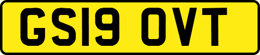GS19OVT