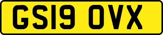 GS19OVX