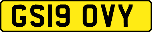 GS19OVY