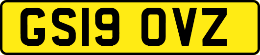GS19OVZ
