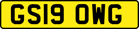 GS19OWG