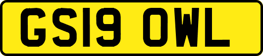 GS19OWL