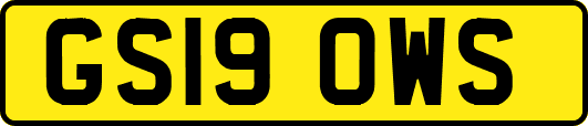 GS19OWS