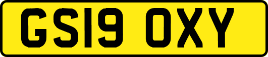 GS19OXY
