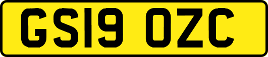 GS19OZC