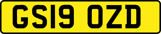 GS19OZD