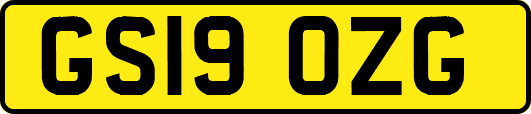 GS19OZG