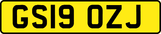 GS19OZJ