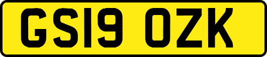 GS19OZK