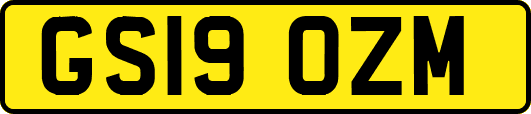 GS19OZM