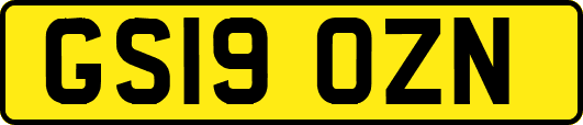 GS19OZN