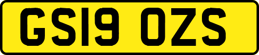 GS19OZS